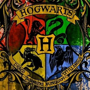 Meet your Posher, Audrey